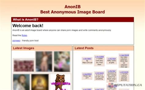 anon ib can|Accidentally stumbled on this website called anonib. I guess it’s ...